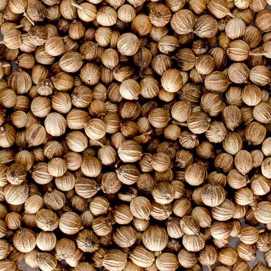 a lot of coriander seed