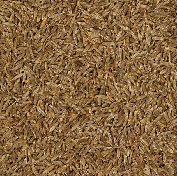 a lot of cumin seed